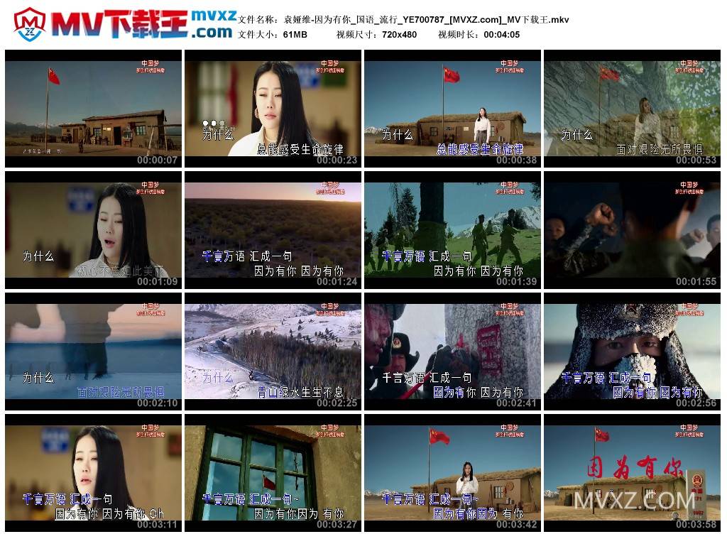 袁娅维-因为有你_国语_流行_YE700787